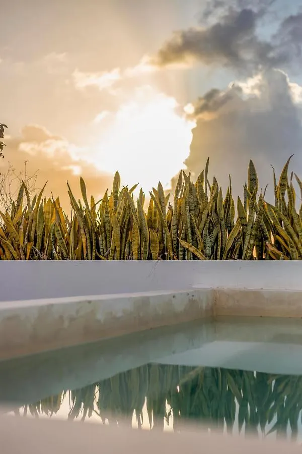 Penthouse Kuxtal Daire Playa del Carmen